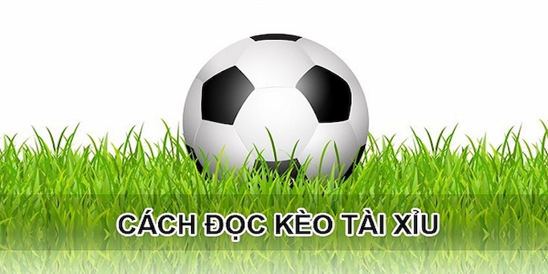 Mẹo xem kèo tài xỉu hiệu quả