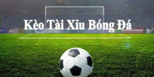 dr88 nhà cái uy tín hàng đầu